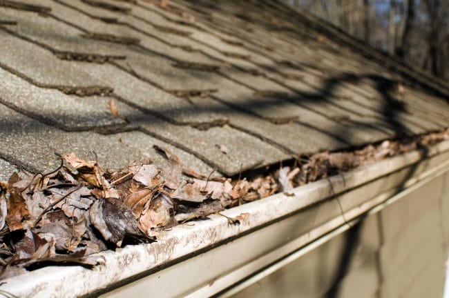 roof damage causes, signs of roof damage