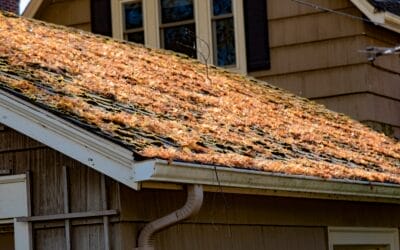 Spring Surprises: 7 Ways Spring Weather in Fairfax Station Can Harm Your Roof